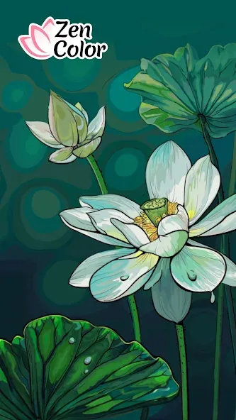 Скачать Zen Color - Цвет по номеру на Андроид 
				</div>    
   
                   
 </div>    
       
				
				<!-- END FDL-BOX -->
<br>                
                           
     <br>           
    
    
<div class=